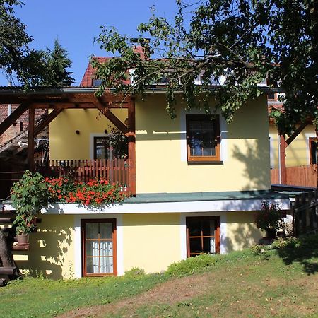 Appartamento Penzion Gomelská Horní Stropnice Esterno foto