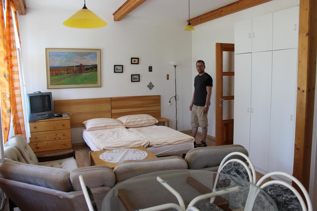 Appartamento Penzion Gomelská Horní Stropnice Esterno foto